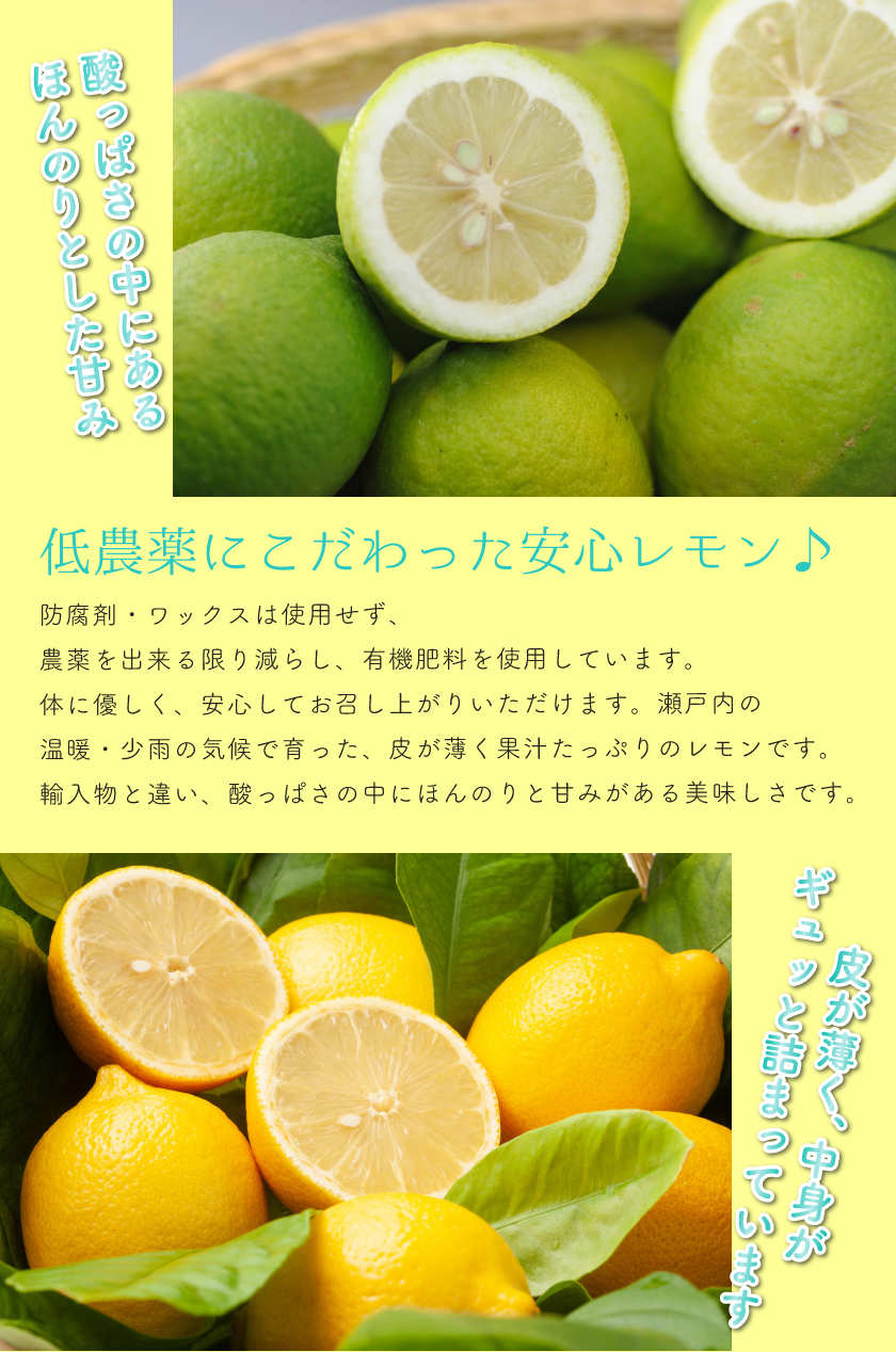 輝く高品質な低農薬 国産 レモン 瀬戸内 ore 訳あり 大三島 愛媛 3kg SSS フルーツ・果物