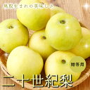 2026年9月分予約 二十世紀梨 梨 鳥取 贈答向け 秀品 鳥取県産 2〜10kg 6〜32玉 二十世紀 なし 送料無料 フルーツ ギフ…