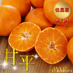 2026N2\ x15x _ Õ ݂ p 5kg Q TCY Yn O  ӂ邳Ɣ[ ł͂܂