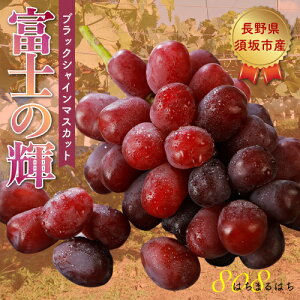 2026N\ _ xm̋P Ԃǂ 1.8kg ubNVC}XJbg ϔ uhE   Yn  ӂ邳Ɣ[ ł͂܂