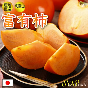 _ a̎R xL` 7.5kg p 21`31 Gi Yn SSS  ӂ邳Ɣ[ ł͂܂