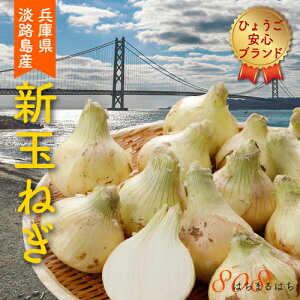 2026N2\ _ Ɍ WHY Vʂ˂ 3kg`5kg TCY 8`15 Yn ʍ͔| Ђ傤Suh SSS  ӂ邳Ɣ[ ł͂܂