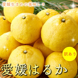 2026N3\ ōx15x 󂠂 QY _ ͂邩 5kg ƒp ݂ Yn ore O  j[T}[IW  ӂ邳Ɣ[ ł͂܂