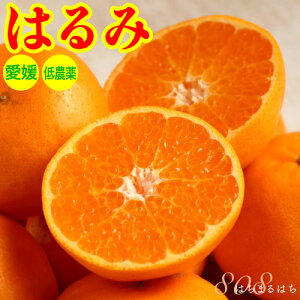 2026N2\ ōx15x 󂠂 _ Q ͂ ݂ 5kg TCY Bi Yn  ӂ邳Ɣ[ ł͂܂