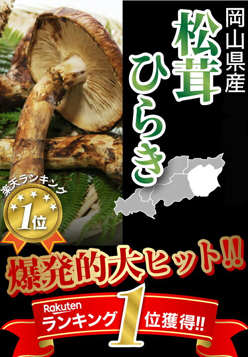 楽天市場】2025年10月分予約 松茸 1kg 前後 岡山 県 産 国産 ひらき 
