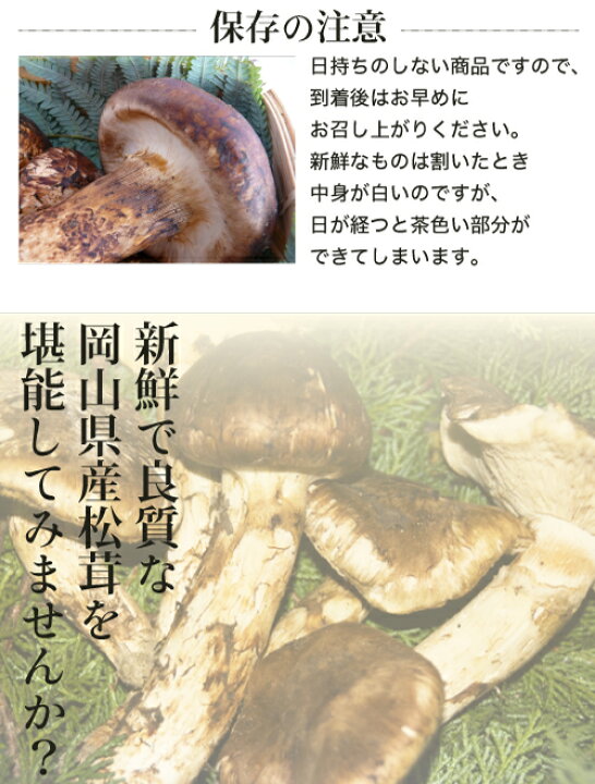 楽天市場】2025年10月分予約 松茸 1kg 前後 岡山 県 産 国産 ひらき 