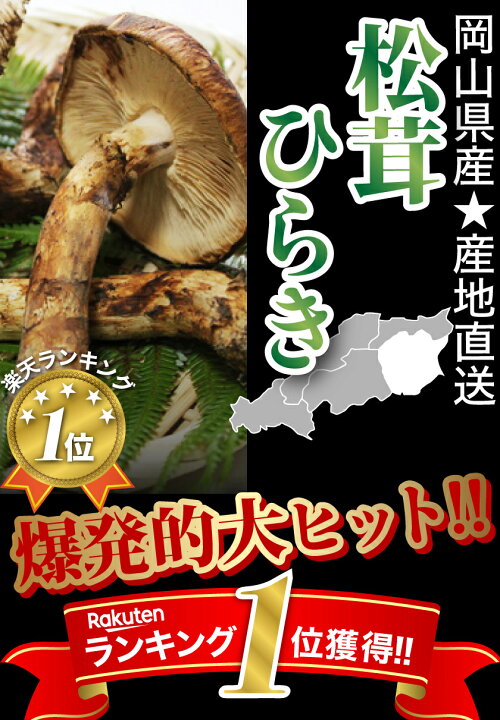 楽天市場】国産 松茸 ひらき 約230g～1kg まつたけ マツタケ 岡山 SSS 
