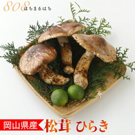 国産 松茸 ひらき 小さめ 約230g 2～8本程度 まつたけ マツタケ 利平栗1kgオマケ付き 岡山 SSS 10j