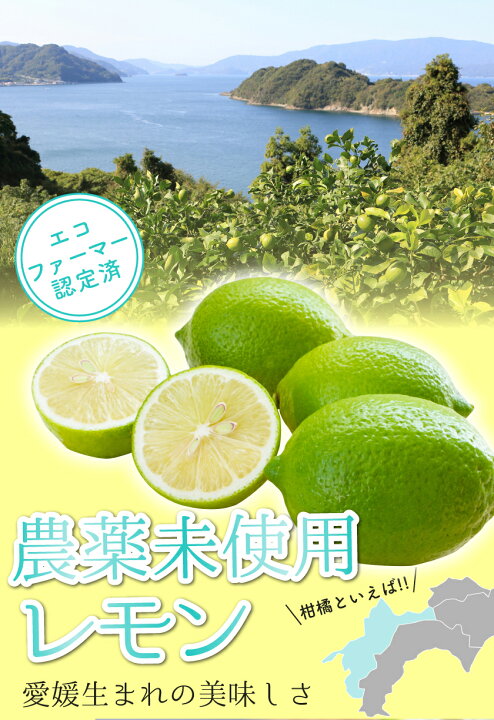 楽天市場】訳あり 国産 無農薬 レモン 10kg 愛媛 大三島 又は 広島 