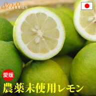 訳あり 国産 無農薬 レモン 3kg〜10kg 愛媛 大三島 又は 広島 瀬戸内 れもん 檸檬 家庭用 国産 防腐剤不…