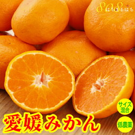 2024年12月分予約 減農薬 訳あり みかん 約 3kg 愛媛みかん ミカン 蜜柑 サイズ混合 産地直送 大三島 SSS