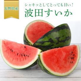 波田 すいか 2L〜3Lサイズ 1〜2玉 7〜18kg入 贈答用 スイカ 西瓜 長野 松本 秀品 下原 地区 ※ ふるさと納税 下原すいか ではありません SSS