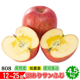 12月分予約 減農薬 サンふじ りんご 訳あり 約4. 5kg C品 12～25個入 長野 リンゴ 林檎 さんふじ サンフジ 小山 SSS 産地直送