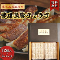 健康黒豚餃子 12ヶ入×4パック 産地直送 餃子 鹿児島 黒豚 使用 鹿児島黒豚 本格 冷凍餃子 黒豚専門店 厳…