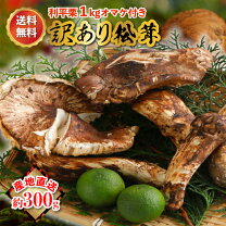楽天市場】松茸 300gの通販 秋田県産松茸300G