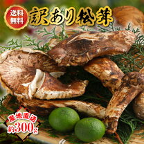楽天市場】まつたけの通販