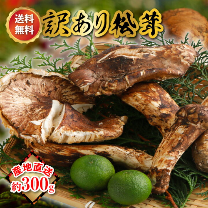 楽天市場】2025年10月分予約 訳あり 国産 松茸 300g ～ 1kg 前後 