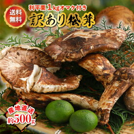 松茸 500g 前後 岡山県 国産 岡山 まつたけ 訳あり マツタケ 期間限定 季節限定 産地直送 希少 秋 山の幸 きのこ キノコ ご飯 土瓶 蒸し 送料無料 国内産 おかやま okayama 利平栗1kg オマケ付き ※ 乾燥 ふるさと納税 冷凍 ではありません SSS 10j