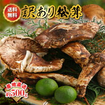 楽天市場】日本産 松茸の通販
