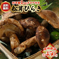 楽天市場】松茸 ヒラキ 国産の通販