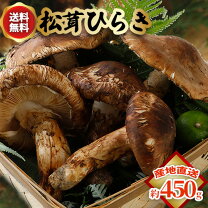 楽天市場】松茸 国産 長野の通販