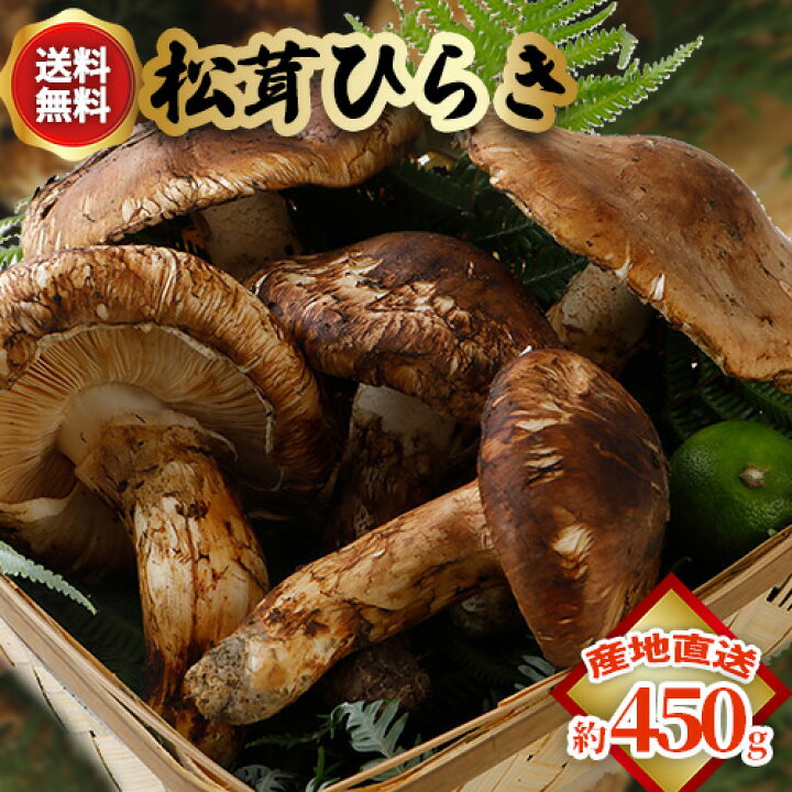 楽天市場】国産 松茸 ひらき 約230g～1kg まつたけ マツタケ 岡山 SSS 