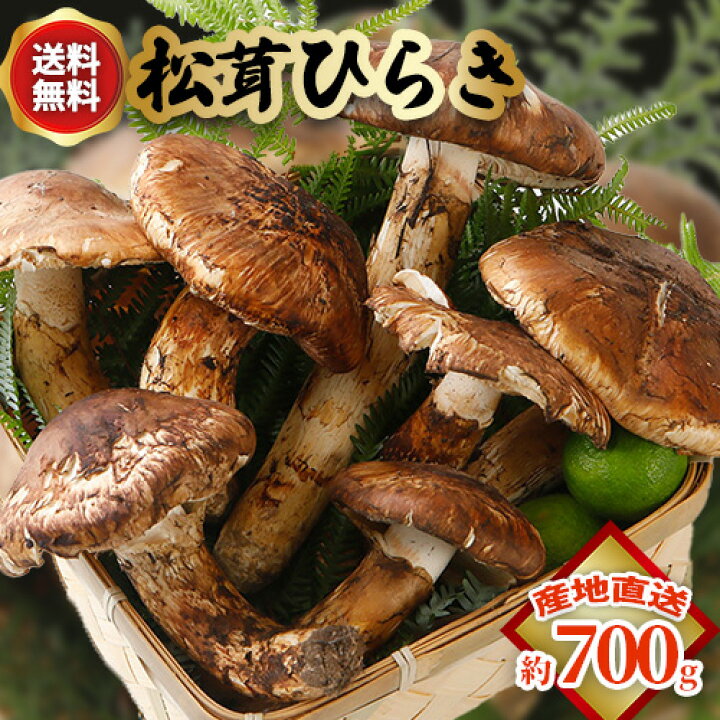 楽天市場】2025年10月分予約 国産 松茸 ひらき 約700g 3〜10本程度 