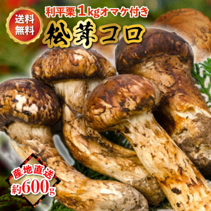 楽天市場】松茸 400g～1kg 前後 岡山 県 産 国産 コロ まつたけ 岡山県 