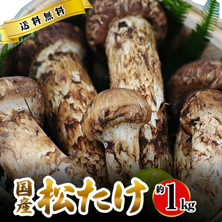 楽天市場】2025年10月分予約 国産 松茸 中つぼみ(半開き) 1kg前後 