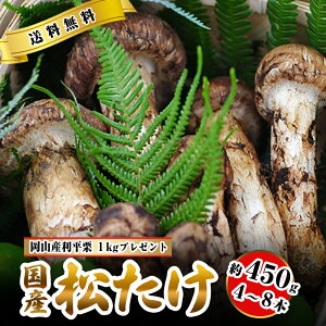 国産松茸の人気商品・通販・価格比較 - 価格.com