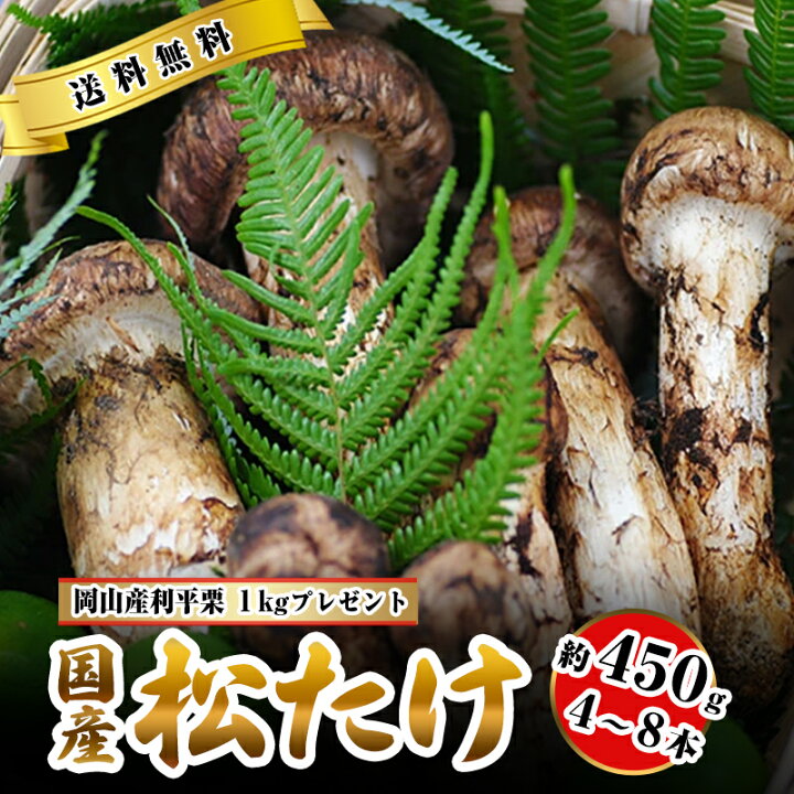 楽天市場】【全額返金】10月分予約 松茸 国産 中つぼみ(半開き) 約230g  