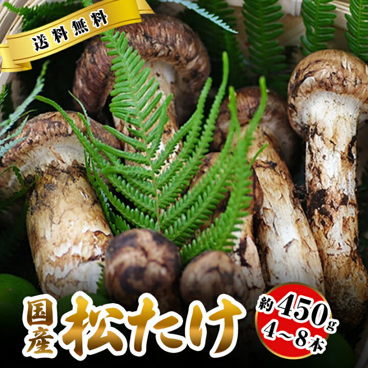 楽天市場】2025年10月分予約 松茸 国産 中つぼみ(半開き) 約230g  