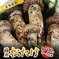楽天市場】長野 県 産 松茸の通販