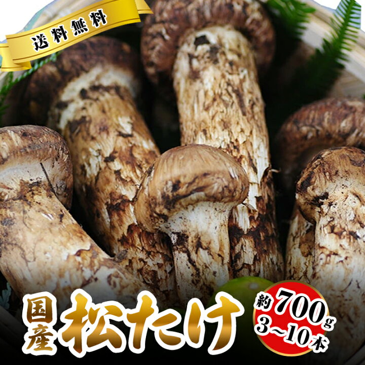 楽天市場】2025年10月分予約 国産 松茸 中つぼみ(半開き) 約700g 3〜10 