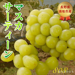 9ȍ~\ x20xO _ }XJT[eB[ Ԃǂ 1.8kg ϔ VC}XJbg uhE   Yn NN  ӂ邳Ɣ[ ł͂܂