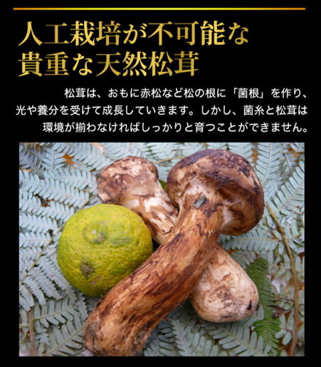 楽天市場】2025年10月分予約 国産 松茸 中つぼみ(半開き) 約700g 3〜10 