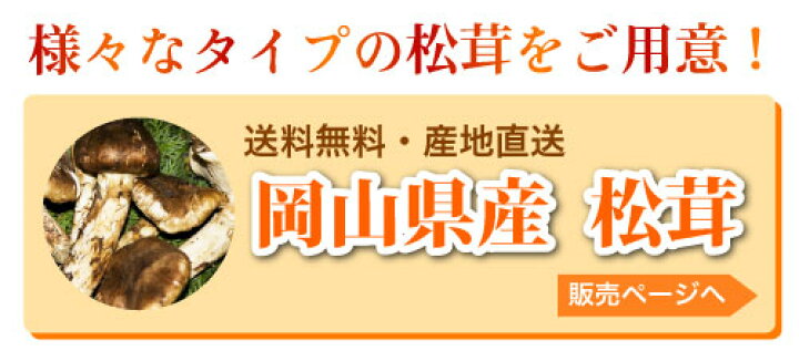 楽天市場】松茸 国産 中つぼみ(半開き) 約230g～1kg まつたけ マツタケ  