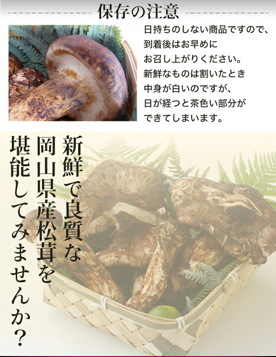 楽天市場】10月分予約 訳あり 国産 松茸 300g 〜 1kg 前後 まつたけ 