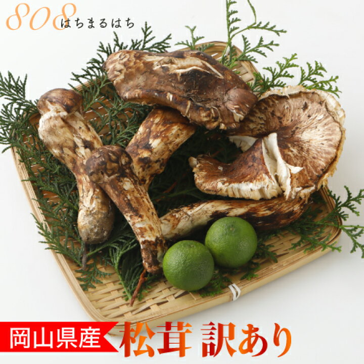 楽天市場 訳あり 国産 松茸 300g前後 まつたけ マツタケ 岡山 Nn はちまるはち お中元 お歳暮 楽天市場 訳あり 国産 松茸 300g前後 まつたけ マツタケ 岡山 Nn はちまるはち お中元 お歳暮
