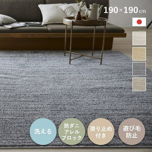 O n 􂦂 J[ybg { 190×190cm 2 ~ߕt  Vv k Vііh~ g zbgJ[ybgΉ h_j rO Q _CjO AC{[ x[W O[