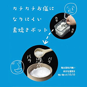 ソルト&シュガーポットセット300ml(スプーン木台付き)砂糖塩容器調味料入れイシガキ産業キッチン用品便利グッズキッチングッズ調味料ポットキャニスター入れ物送料無料