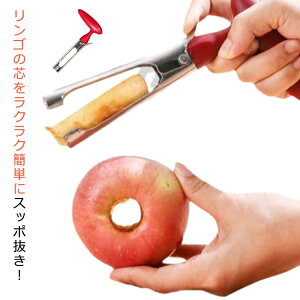  c c t[cRA[ RA[ 񂲂̐c  c ь  Jb^[ d؂ RA[o[c[ XeX| S c fU[g XC[c  P[L