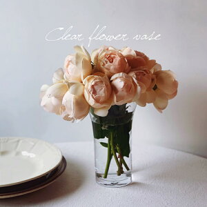 CeA ԕr t[x[X IuWF u hCt[ COCeA ؍G k KX NA  t[X^h ϗtA CeAG  rO a G 