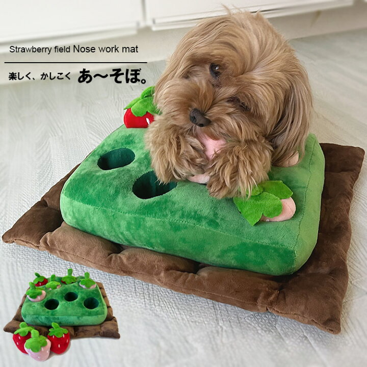 楽天市場 ノーズワーク 犬 おもちゃ 知育 知育玩具 知育トイ いちご ストレス発散 嗅覚トレーニング お散歩 ペットグッズ ペット用品 犬用品 猫用品 苺 イチゴ 楽しく かしこく あ そぼ ハピデジ Happy Days Joint