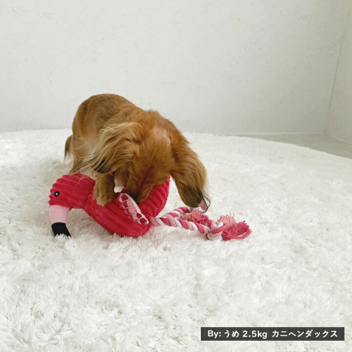楽天市場 犬 おもちゃ ロープ 音が鳴る 噛む 歯磨き 歯 ぬいぐるみ オモチャ ペット用 玩具 Toy 小型犬 中型犬 大型犬 かわいい おもしろ インスタ映え 柔らかい コーデュロイ ペットグッズ ペット用品 犬用品 猫用品 ピンクが目をひく フラミンゴ ドッグトイ