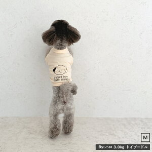 y ݌Ɉ|SALE z  V ybg 킢 ̎q j̎q S Jbg\[ Vc |bvfUC ȑf Jt Vv 낢 N yA  o U ybg