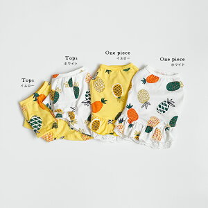 y ݌Ɉ|SALE z t ̕ 킢 ̎q j̎q t pCibv s[X Jbg\[ Rbg ][g 낢 N yA ȍ f  o U 