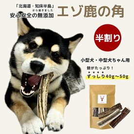 鹿の角 犬【まとめ買いがお得！】小型犬～中型犬 11cm～13cm ずっしり！40g～50g（半割り）ガム 無添加 国産 北海道 エゾ鹿の角 硬い 長持ち 噛むおもちゃ 低脂肪 低カロリー ストレス解消 口臭ケア 犬のおもちゃ 噛む おやつ 角ガム 【愛犬飼育管理士 監修】