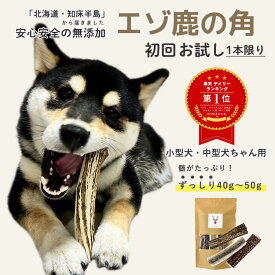 【 予約 11/17(月) 出荷分 】鹿の角 犬【お試し初回購入限定】小型犬～中型犬 11cm～13cm ずっしり！40g～50g（半割り）国産 北海道 無添加 エゾ鹿の角 ガム 硬い 長持ち 噛むおもちゃ 低カロリー ストレス解消 口臭ケア 犬のおもちゃ 噛む おやつ 角ガム