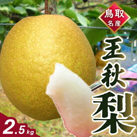 【(2025年11月中旬発送)先行予約】梨 王秋梨 なし おうしゅうなし 鳥取県 2.5kg 4～6玉 フルーツ ギフト 自宅用 誕生日 贈答用 贈り物 果物 ジューシー うまい 新鮮 鮮度 酸味 甘さ控えめ みずみずしい 【数量限定】